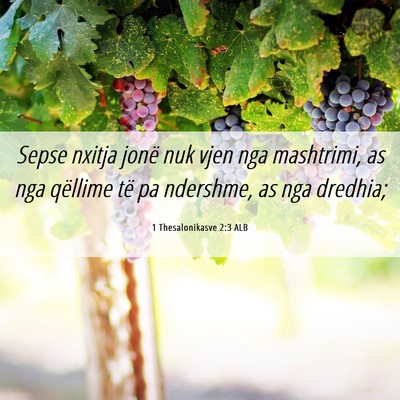 Picture 06 - 1 Thesalonikasve 2:3 ALB - Sepse nxitja jonë nuk vjen nga mashtrimi, as nga - Bible Verse Picture