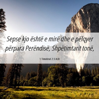 Picture 06 - 1 Timoteut 2:3 ALB - Sepse kjo është e mirë dhe e pëlqyer përpara - Bible Verse Picture