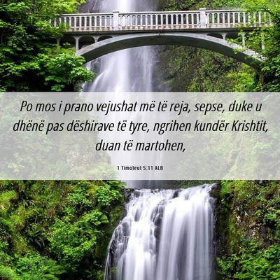 Picture 06 - 1 Timoteut 5:11 ALB - Po mos i prano vejushat më të reja, sepse, duke - Bible Verse Picture