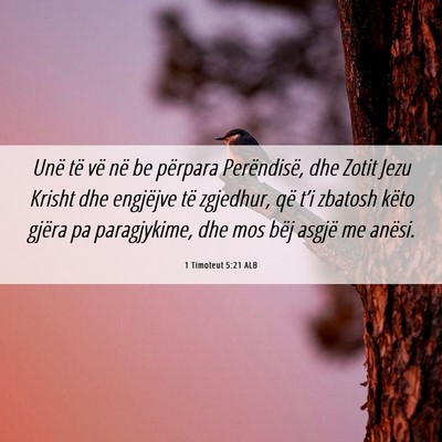 Picture 06 - 1 Timoteut 5:21 ALB - Unë të vë në be përpara Perëndisë, dhe - Bible Verse Picture