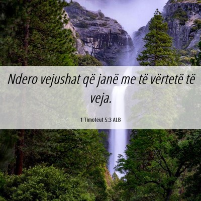 Picture 06 - 1 Timoteut 5:3 ALB - Ndero vejushat që janë me të vërtetë të - Bible Verse Picture
