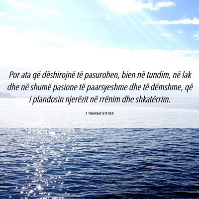 Picture 06 - 1 Timoteut 6:9 ALB - Por ata që dëshirojnë të pasurohen, bien në - Bible Verse Picture