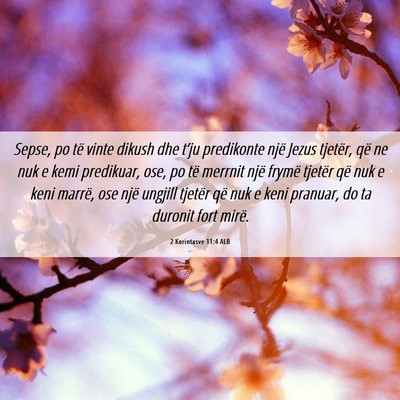 Picture 06 - 2 Korintasve 11:4 ALB - Sepse, po të vinte dikush dhe t’ju predikonte - Bible Verse Picture