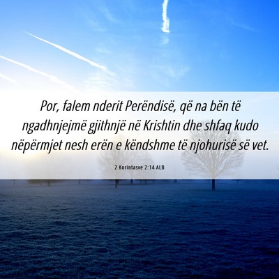 Picture 06 - 2 Korintasve 2:14 ALB - Por, falem nderit Perëndisë, që na bën të - Bible Verse Picture