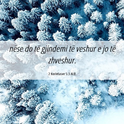 Picture 06 - 2 Korintasve 5:3 ALB - nëse do të gjindemi të veshur e jo të - Bible Verse Picture