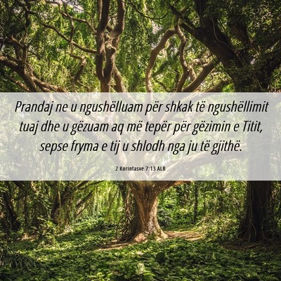 Picture 06 - 2 Korintasve 7:13 ALB - Prandaj ne u ngushëlluam për shkak të - Bible Verse Picture