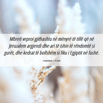 Picture 06 - 2 Kronikave 1:15 ALB - Mbreti veproi gjithashtu në mënyrë të tillë - Bible Verse Picture