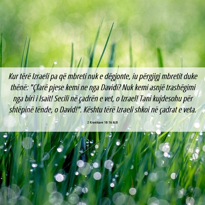 Picture 06 - 2 Kronikave 10:16 ALB - Kur tërë Izraeli pa që mbreti nuk e dëgjonte, - Bible Verse Picture