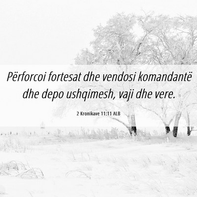 Picture 06 - 2 Kronikave 11:11 ALB - Përforcoi fortesat dhe vendosi komandantë dhe - Bible Verse Picture