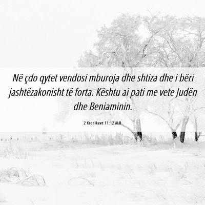 Picture 06 - 2 Kronikave 11:12 ALB - Në çdo qytet vendosi mburoja dhe shtiza dhe i - Bible Verse Picture