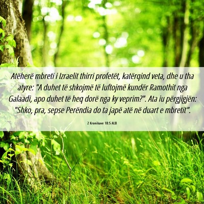 Picture 06 - 2 Kronikave 18:5 ALB - Atëherë mbreti i Izraelit thirri profetët, - Bible Verse Picture