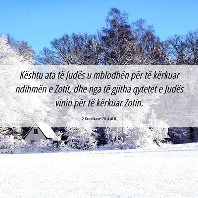 Picture 06 - 2 Kronikave 20:4 ALB - Kështu ata të Judës u mblodhën për të - Bible Verse Picture