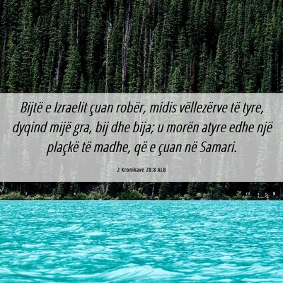 Picture 06 - 2 Kronikave 28:8 ALB - Bijtë e Izraelit çuan robër, midis - Bible Verse Picture