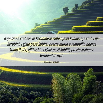 Picture 06 - 2 Kronikave 3:11 ALB - hapësira e krahëve të kerubinëve ishte - Bible Verse Picture