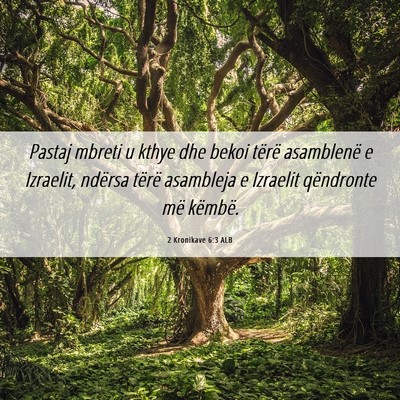 Picture 06 - 2 Kronikave 6:3 ALB - Pastaj mbreti u kthye dhe bekoi tërë asamblenë - Bible Verse Picture