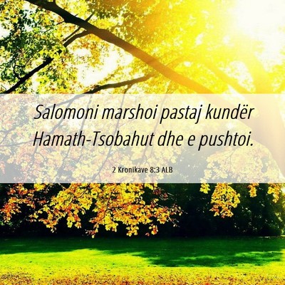 Picture 06 - 2 Kronikave 8:3 ALB - Salomoni marshoi pastaj kundër Hamath-Tsobahut - Bible Verse Picture