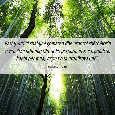 Picture 06 - 2 Mbretërve 4:24 ALB - Pastaj vuri t’i shalojnë gomaren dhe urdhroi - Bible Verse Picture