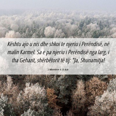 Picture 06 - 2 Mbretërve 4:25 ALB - Kështu ajo u nis dhe shkoi te njeriu i - Bible Verse Picture