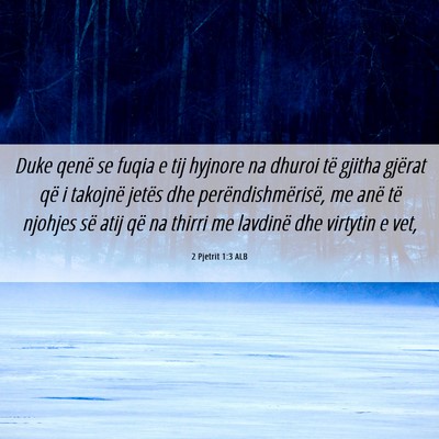 Picture 06 - 2 Pjetrit 1:3 ALB - Duke qenë se fuqia e tij hyjnore na dhuroi të - Bible Verse Picture