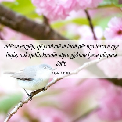 Picture 06 - 2 Pjetrit 2:11 ALB - ndërsa engjëjt, që janë më të lartë për - Bible Verse Picture