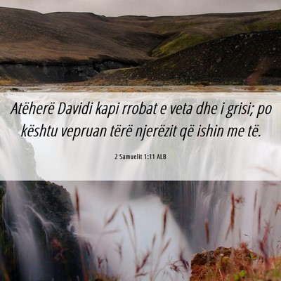 Picture 06 - 2 Samuelit 1:11 ALB - Atëherë Davidi kapi rrobat e veta dhe i grisi; - Bible Verse Picture