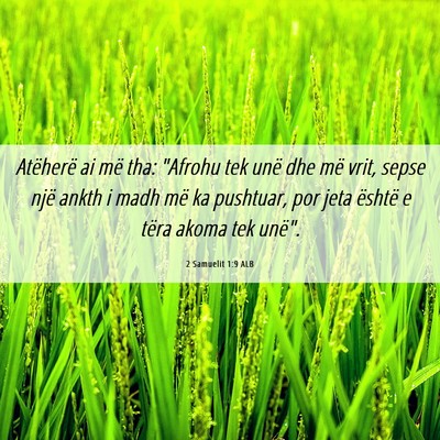 Picture 06 - 2 Samuelit 1:9 ALB - Atëherë ai më tha: 