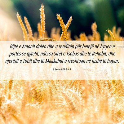 Picture 06 - 2 Samuelit 10:8 ALB - Bijtë e Amonit dolën dhe u renditën për - Bible Verse Picture