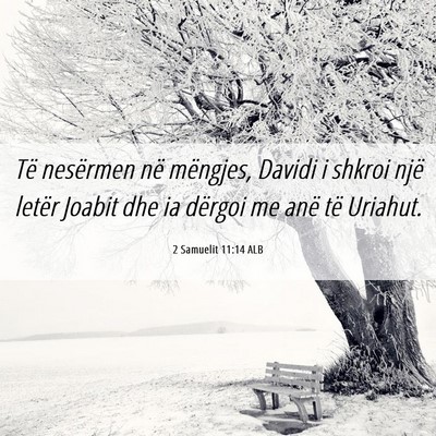 Picture 06 - 2 Samuelit 11:14 ALB - Të nesërmen në mëngjes, Davidi i shkroi një - Bible Verse Picture
