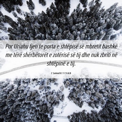 Picture 06 - 2 Samuelit 11:9 ALB - Por Uriahu fjeti te porta e shtëpisë së - Bible Verse Picture