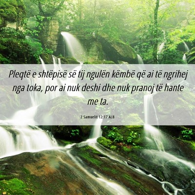 Picture 06 - 2 Samuelit 12:17 ALB - Pleqtë e shtëpisë së tij ngulën këmbë që - Bible Verse Picture