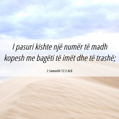 Picture 06 - 2 Samuelit 12:2 ALB - I pasuri kishte një numër të madh kopesh me - Bible Verse Picture
