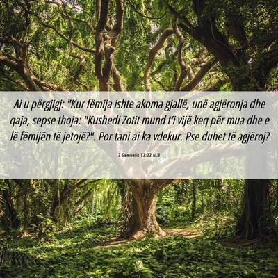 Picture 06 - 2 Samuelit 12:22 ALB - Ai u përgjigj: 