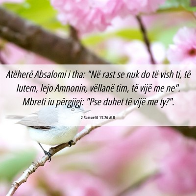 Picture 06 - 2 Samuelit 13:26 ALB - Atëherë Absalomi i tha: 