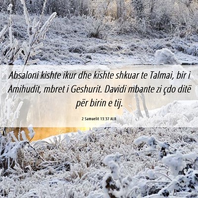 Picture 06 - 2 Samuelit 13:37 ALB - Absaloni kishte ikur dhe kishte shkuar te Talmai, - Bible Verse Picture