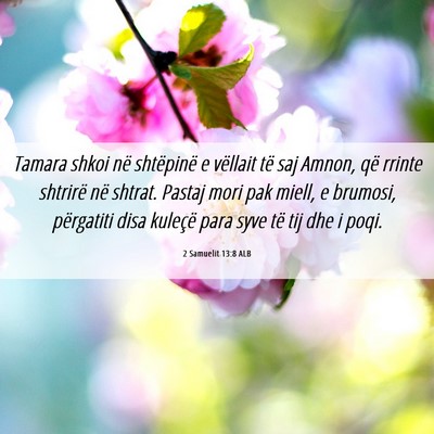 Picture 06 - 2 Samuelit 13:8 ALB - Tamara shkoi në shtëpinë e vëllait të saj - Bible Verse Picture