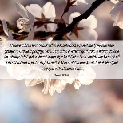Picture 06 - 2 Samuelit 14:19 ALB - Atëherë mbreti tha: 