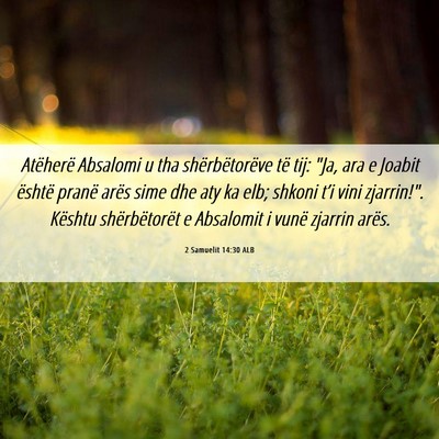 Picture 06 - 2 Samuelit 14:30 ALB - Atëherë Absalomi u tha shërbëtorëve të tij: - Bible Verse Picture
