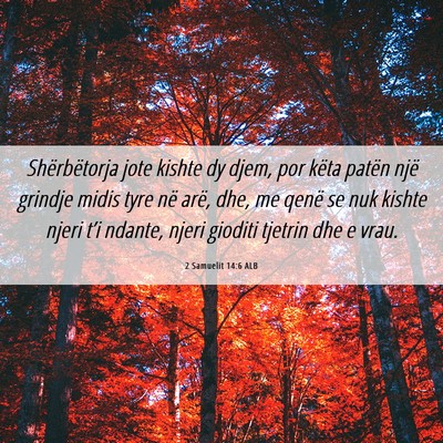 Picture 06 - 2 Samuelit 14:6 ALB - Shërbëtorja jote kishte dy djem, por këta - Bible Verse Picture