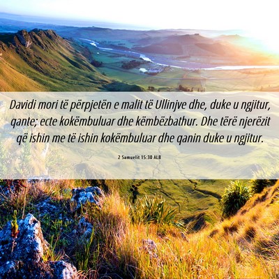 Picture 06 - 2 Samuelit 15:30 ALB - Davidi mori të përpjetën e malit të Ullinjve - Bible Verse Picture