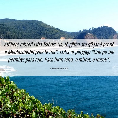 Picture 06 - 2 Samuelit 16:4 ALB - Atëherë mbreti i tha Tsibas: 