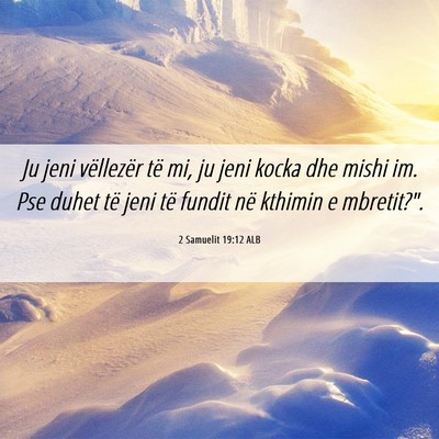 Picture 06 - 2 Samuelit 19:12 ALB - Ju jeni vëllezër të mi, ju jeni kocka dhe - Bible Verse Picture