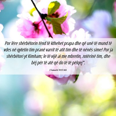 Picture 06 - 2 Samuelit 19:37 ALB - Por lëre shërbëtorin tënd të kthehet prapa - Bible Verse Picture