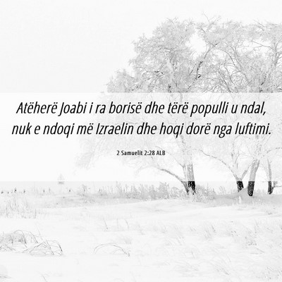 Picture 06 - 2 Samuelit 2:28 ALB - Atëherë Joabi i ra borisë dhe tërë populli u - Bible Verse Picture