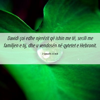 Picture 06 - 2 Samuelit 2:3 ALB - Davidi çoi edhe njerëzit që ishin me të, - Bible Verse Picture