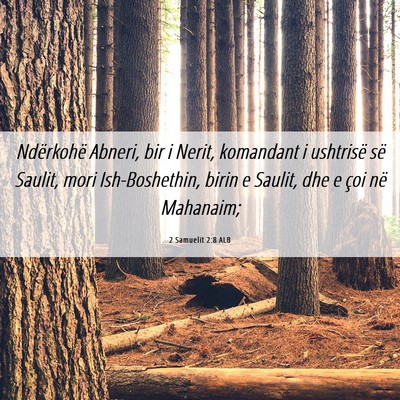Picture 06 - 2 Samuelit 2:8 ALB - Ndërkohë Abneri, bir i Nerit, komandant i - Bible Verse Picture
