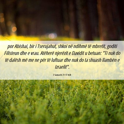Picture 06 - 2 Samuelit 21:17 ALB - por Abishai, bir i Tserujahut, shkoi në ndihmë - Bible Verse Picture