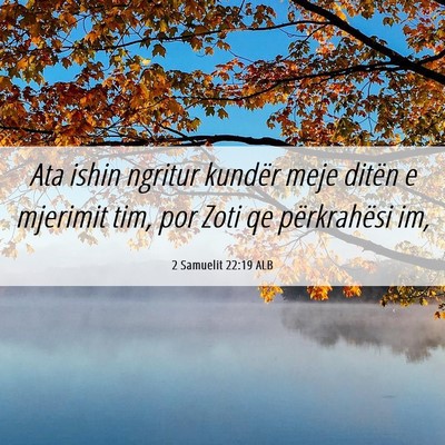 Picture 06 - 2 Samuelit 22:19 ALB - Ata ishin ngritur kundër meje ditën e mjerimit - Bible Verse Picture