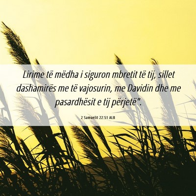 Picture 06 - 2 Samuelit 22:51 ALB - Lirime të mëdha i siguron mbretit të tij, - Bible Verse Picture