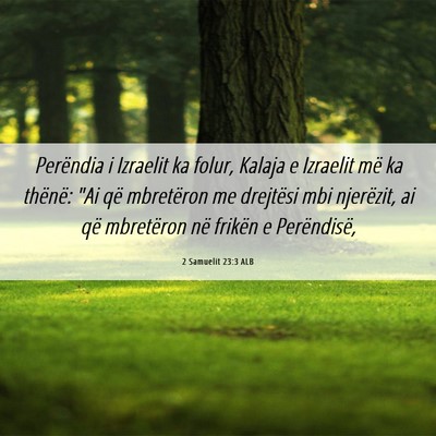 Picture 06 - 2 Samuelit 23:3 ALB - Perëndia i Izraelit ka folur, Kalaja e Izraelit - Bible Verse Picture