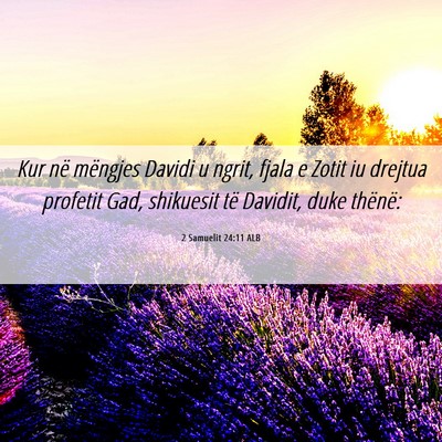 Picture 06 - 2 Samuelit 24:11 ALB - Kur në mëngjes Davidi u ngrit, fjala e Zotit iu - Bible Verse Picture